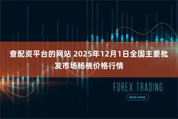 查配资平台的网站 2025年12月1日全国主要批发市场杨桃价格行情