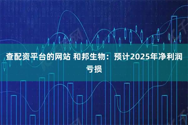 查配资平台的网站 和邦生物：预计2025年净利润亏损