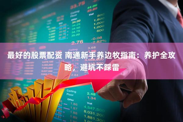 最好的股票配资 南通新手养边牧指南：养护全攻略，避坑不踩雷